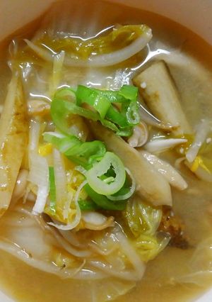 野菜摂取！もやしと白菜ごぼうの味噌中華煮-レシピのメイン写真