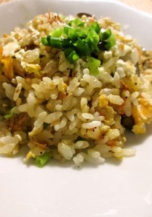 茄子＆網海老（じゃこ）炒飯-レシピのメイン写真