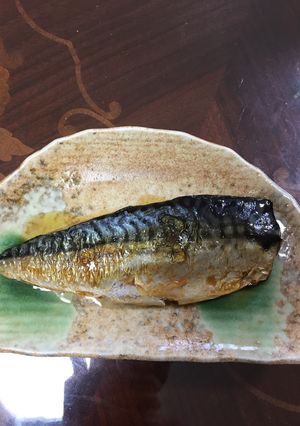 簡単 なんちゃって、炙りしめ鯖-レシピのメイン写真