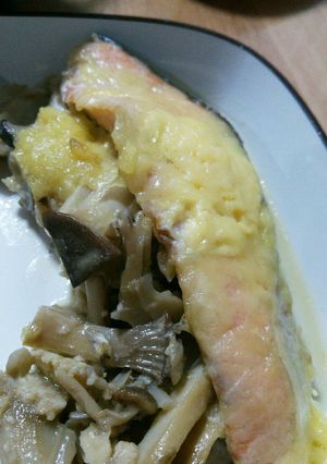 鮭とキノコのマヨチーズ-レシピのメイン写真