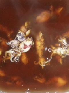 ヒイカの煮付け-レシピのメイン写真
