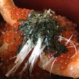 豪快!切身鮭とイクラの親子丼