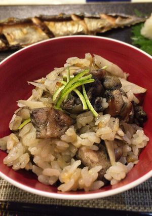 包丁まな板いらず!地鶏炭火焼炊き込みご飯-レシピのメイン写真