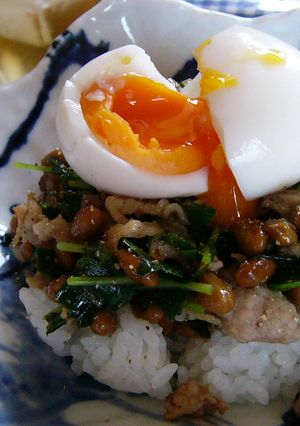 スタミナ納豆ごはん-レシピのメイン写真