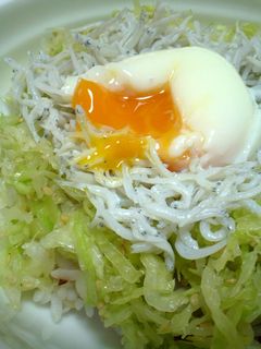 釜揚げしらすに温たまキャベツも!のっけ丼-レシピのメイン写真