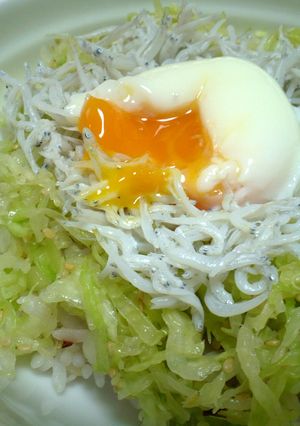 釜揚げしらすに温たまキャベツも！のっけ丼-レシピのメイン写真