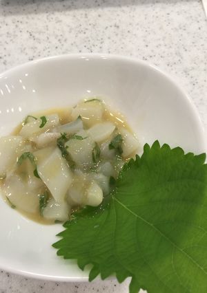 ハリイカのヌタ-レシピのメイン写真