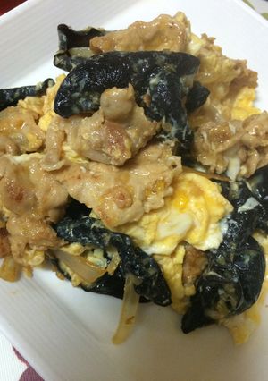 キクラゲと豚肉と卵炒め-レシピのメイン写真