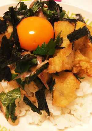 買った穴子天ぷらで簡単サッパリ薬味天丼♡-レシピのメイン写真