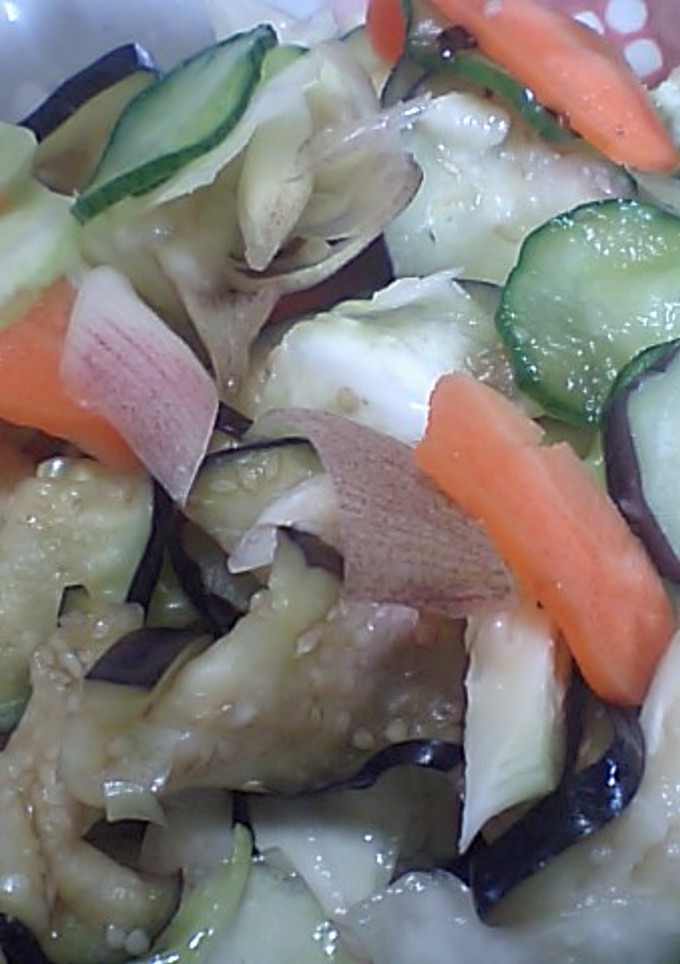 夏野菜の簡単浅漬け-レシピのメイン写真