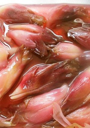 秋ミョウガどうする？取りあえず甘酢漬け！-レシピのメイン写真