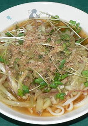 ナス載せ冷やしぶっかけうどん-レシピのメイン写真