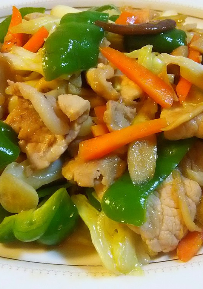 ふつうの肉野菜炒め(ちょっぴりごぼう入)-レシピのメイン写真