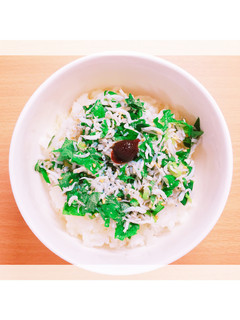 簡単!しらす丼-レシピのメイン写真