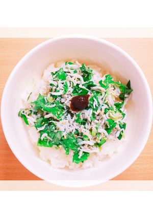 簡単！しらす丼-レシピのメイン写真