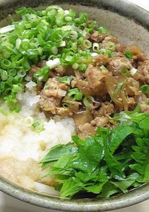 鶏ひき肉の甘辛煮乗せ♪冷やしおろしうどん-レシピのメイン写真