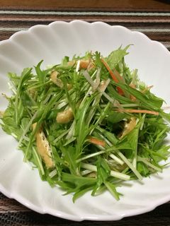 水菜と油揚げのサラダ-レシピのメイン写真
