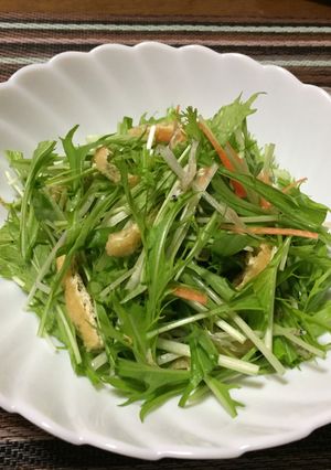 水菜と油揚げのサラダ-レシピのメイン写真
