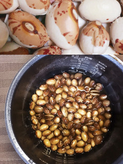 炊飯ジャーで煮豆の王様とら豆カンタンよ-レシピのメイン写真