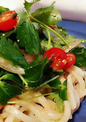 市販のタレで☆簡単さっぱりゴマだれうどん-レシピのメイン写真