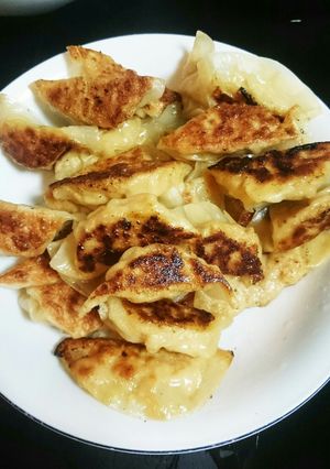 節約！パクパク鶏挽き肉カレー餃子-レシピのメイン写真