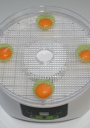 超濃厚☆クリーミー☆食品乾燥機で乾燥卵黄-レシピのメイン写真