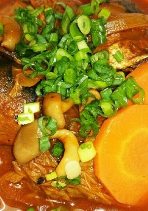 さば味噌缶と白菜で簡単トマトシチュー❕-レシピのメイン写真