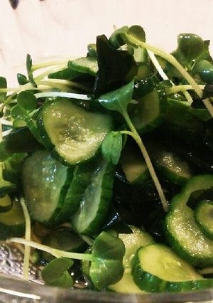 ワカメと胡瓜とカイワレの酢の物-レシピのメイン写真