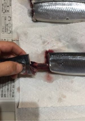 面白いほど簡単！さんまのはらわた取り☆-レシピのメイン写真