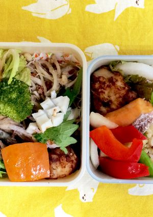 作り置きおかずでお弁当-レシピのメイン写真