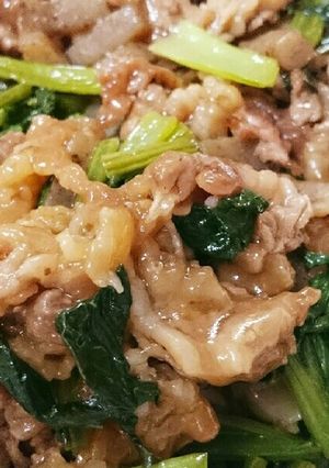 節約♪牛肉とこんにゃくのオイスター炒め-レシピのメイン写真