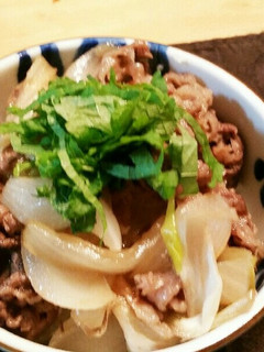 簡単!激ウマ牛丼-レシピのメイン写真