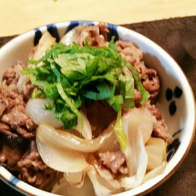 うまはや丼 : 煩く すぐデキ、うまデキ、上出来レシピ : 500円激 