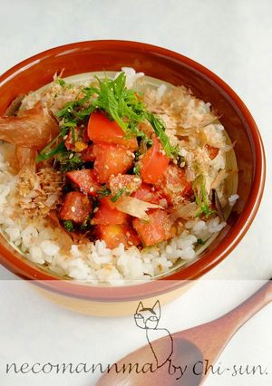 野菜も摂ろう☆角切りトマトねこまんま！-レシピのメイン写真