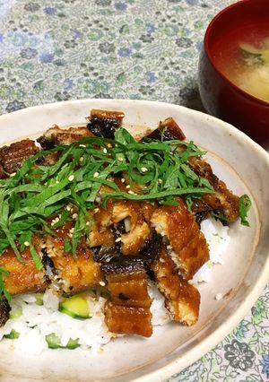 サッパリうな丼-レシピのメイン写真