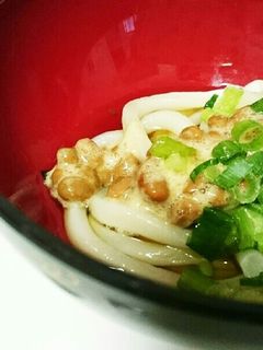 納豆ネギうどん-レシピのメイン写真