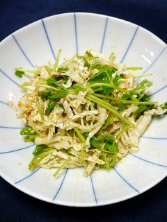 ヘルシー!たっぷり白菜豆苗サラダ-レシピのメイン写真