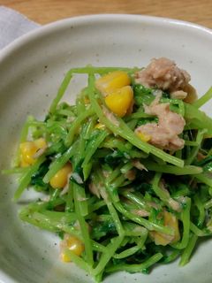 簡単!!豆苗とツナのサラダ-レシピのメイン写真