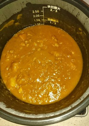 圧力鍋でモツカレー-レシピのメイン写真