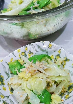温野菜★キャベツと絹さやカリカリちりめん-レシピのメイン写真