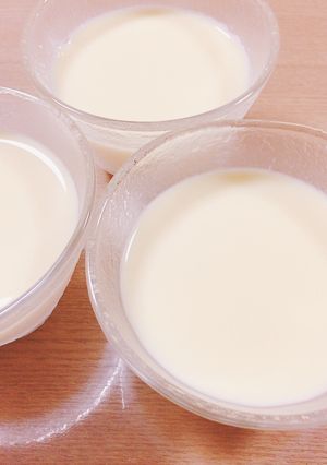 冷蔵庫で固めるだけ！とろとろプリン-レシピのメイン写真