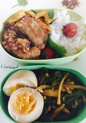 チンジャオロース弁当-レシピのメイン写真