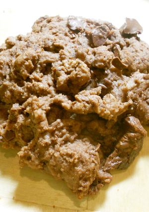 サラダ油でサクサクザクザクチョコクッキー-レシピのメイン写真