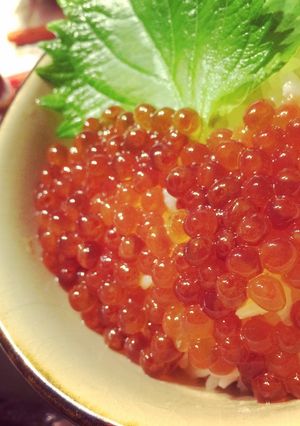 イクラの醤油漬け-レシピのメイン写真