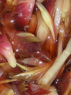 リンゴ酢でさっぱり みょうがの甘酢漬け-レシピのメイン写真