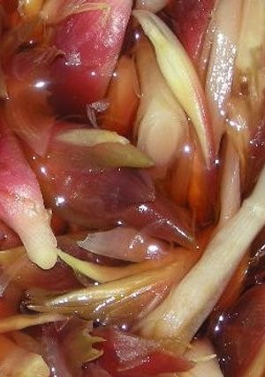 リンゴ酢でさっぱり　みょうがの甘酢漬け-レシピのメイン写真