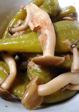*唐辛子としめじのジューシー煮物*-レシピのメイン写真