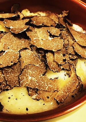 マッシュポテトのフレッシュトリュフ添え-レシピのメイン写真