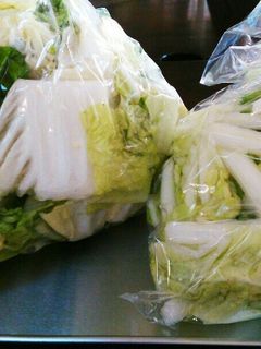 ⅲ白菜の保存(塩白菜)-レシピのメイン写真
