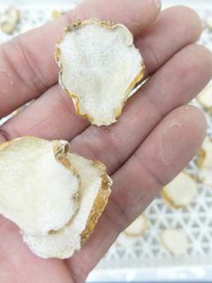 食品乾燥機で乾燥さといもの作り方-レシピのメイン写真